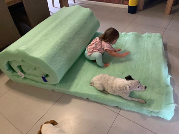 Isotherm Insulation with child and dog playing